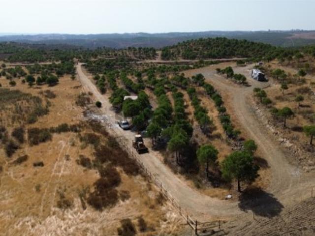 ECO RESORT FLORESTAL, ALCOUTIM, ALGARVE