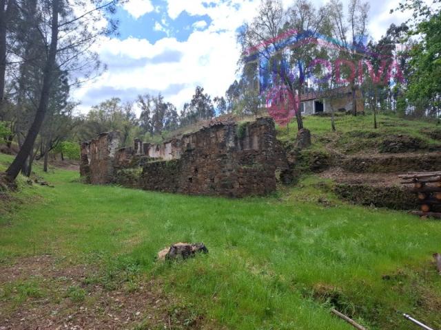 Propriedade com 3 hectares, muito potencial