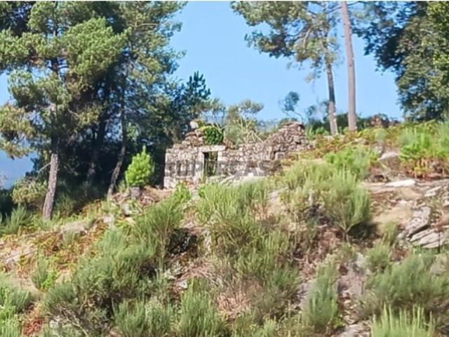 Terreno Urbano com 3 Ruinas em Soajo