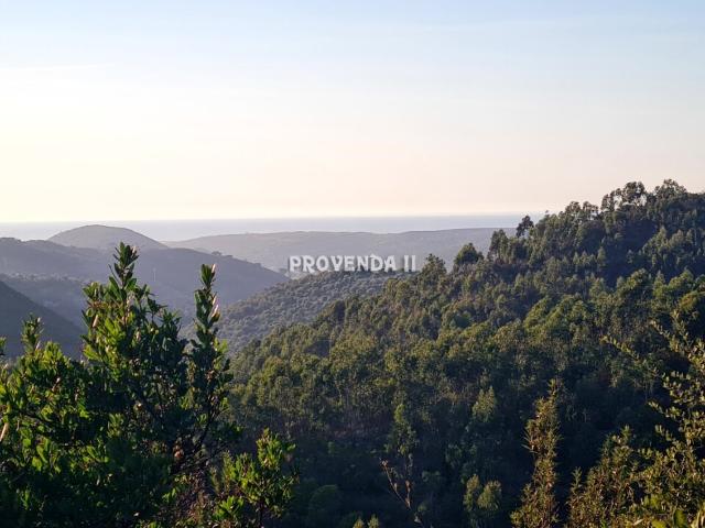 Propriedade com 11,75 hectares, três prédios urbanos e furo de água