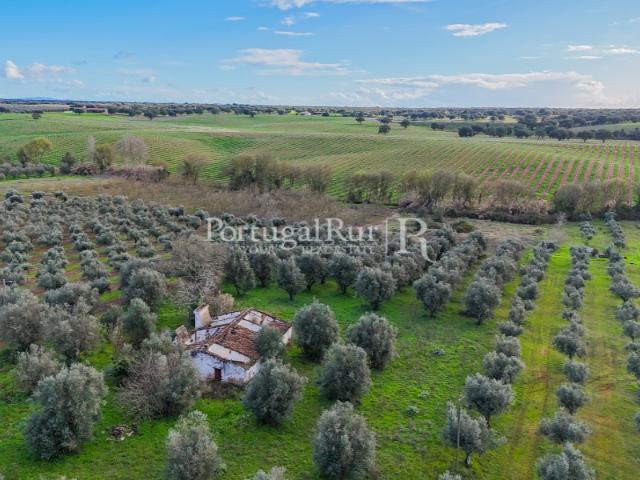 Propriedade com 1,5 ha e casa para recuperar no Alentejo