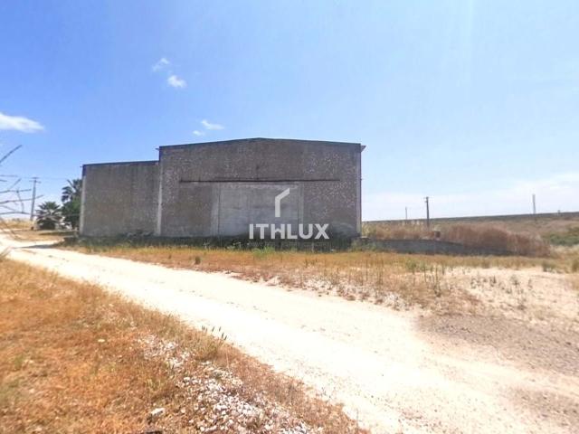 Propriedade com 23 hectares no PERÍMETRO DE REGADIO DO CAIA – Elvas – Alentejo Portugal
