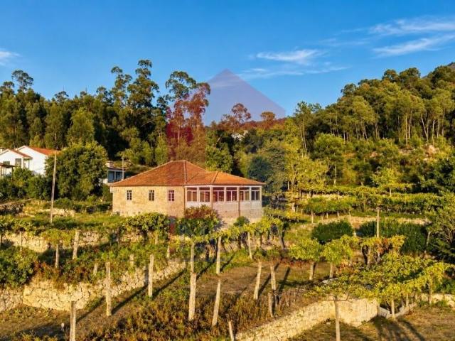 Propriedade com 2 Moradias, Torre