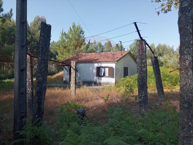 Propriedade com casa para reconstrução!