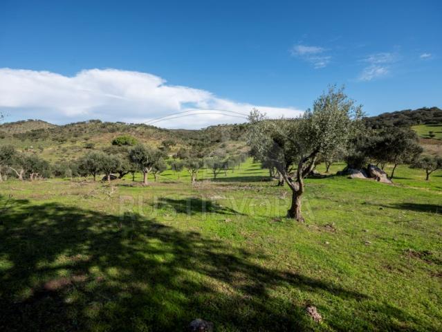 Propriedade com cerca de 12 ha e excelente vista panorâmica