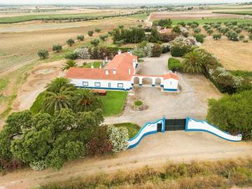 Propriedade com Aeródromo Certificado, inseridos em propried. 0m² Ferreira do Alentejo e Canhestros