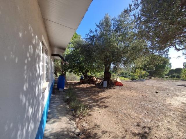 Propriedade com Benfeitoria em Torres Novas Um Refúgio no Campo