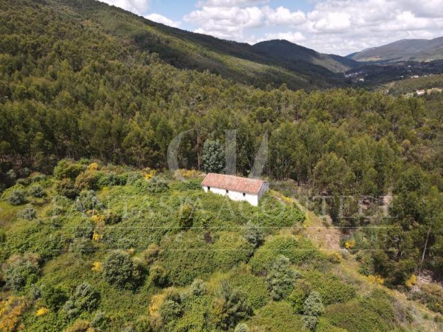 Propriedade com Habitação para Reabilitação e 37 Hectares de Natureza Property with House for Renovation and 37 Hectares of Nature
