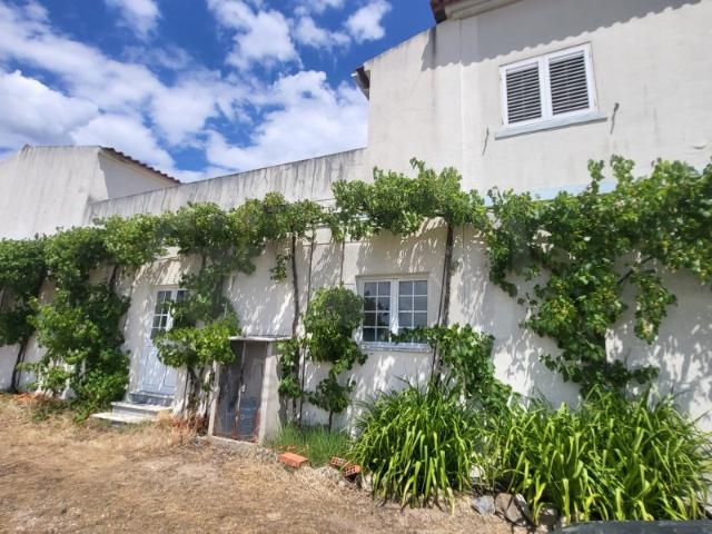 Propriedade com moradia de 2 pisos, armazém e terreno a 5 minutos de Tomar e curta distância da Albufeira de Castelo de Bode