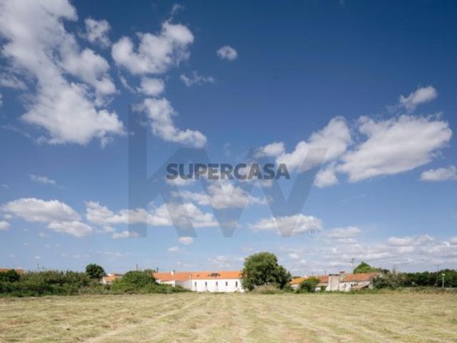 Propriedade da Fonte Moradia T3+1 e 2 Moradias T0+1 Remodeladas | Terreno 10.250 m² | Furo de Água