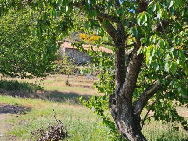Propriedade de 6 hectares