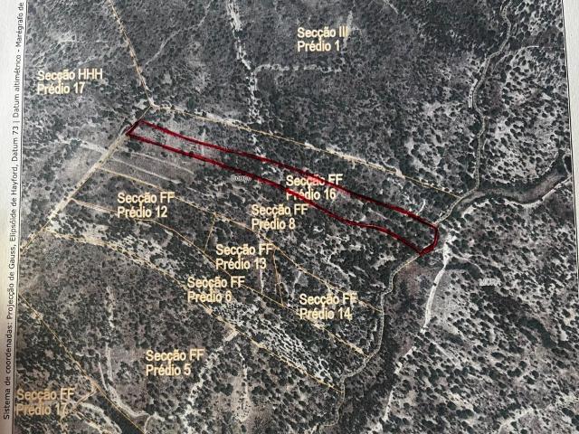 Propriedade de 7,500 ha em Couço Coruche