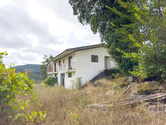 Propriedade de 22.235 m² com moradia e vinha — Paçô, Ribas