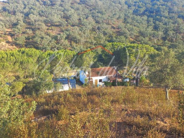 Propriedade de 27ha com moradia de 84m2 e ruina de 90m2 Odemira