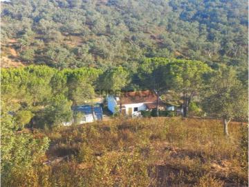 Propriedade de 27ha com moradia de 84m2 e ruina de 90m2 Odemira