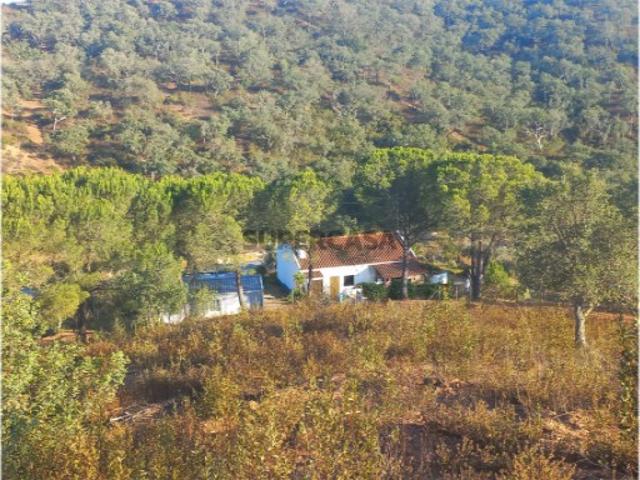 Propriedade de 27ha com moradia de 84m2 e ruina de 90m2 Odemira