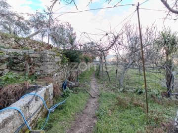 Quinta à venda em Cinfães
