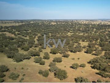 PROPRIEDADE EM MONFORTE PORTALEGRE | ALTO ALENTEJO