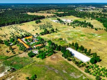 Canha, Montijo, Concelho de Benavente, Distrito de Santarém