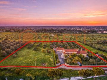 Propriedade Exclusiva com Duas Moradias e Grande Potencial e. 686m² Cartaxo e Vale da Pinta