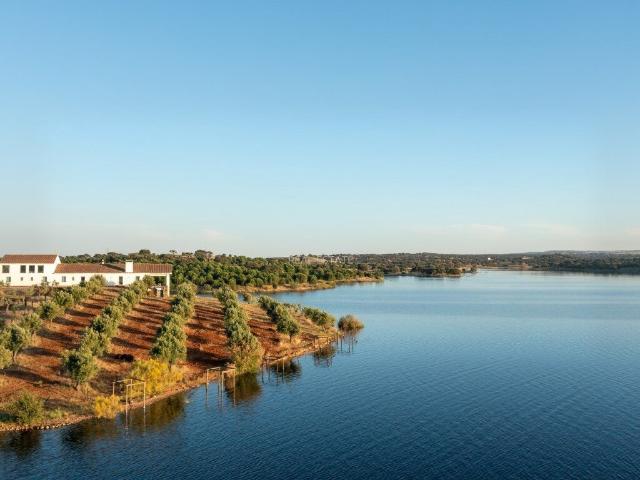 Propriedade idílica com 78 hectares no Alentejo, licenciada. 532m² São Vicente E Ventosa