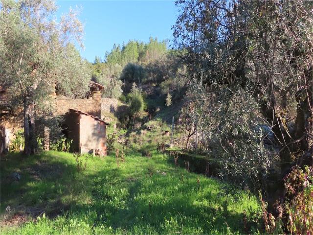 Propriedade maravilhosa e encantadora, com uma área total de 14.700m2. Na vila, uma travessia de rio ideal no verão, não ligada à propriedade, mas a 400 metros de distância. Possui um edifício tipicamente português em xisto e granito, com licença já aprovada para sua reconstrução pelos serviços de planejamento urbano da cidade. Perfeito para uma casa viva. Possui uma área coberta de 85m2 e dois andares. Possui excelente acesso à água regificada e eletricidade disponível para conexão. Essa propri