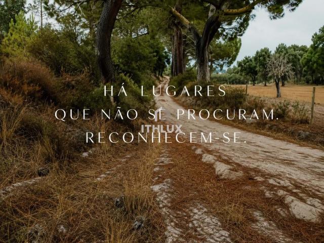 Quinta com 10,1 ha e área urbana no Alto Alentejo