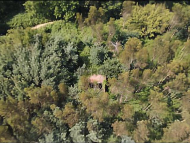 Propriedade mista com 53 hectares em Canedo, Santa Maria da Feira