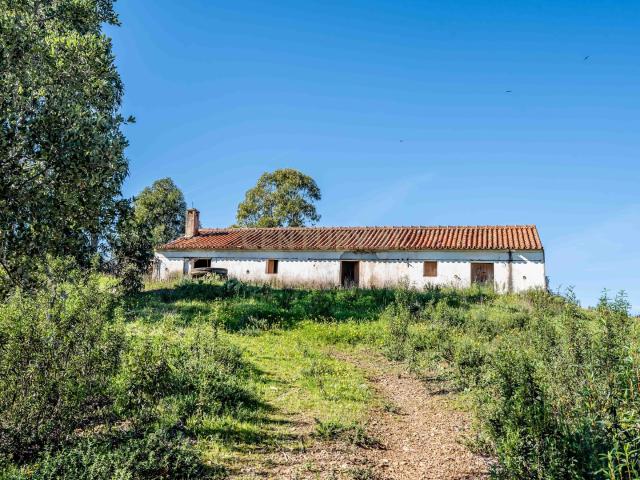 Quinta com 11,7 Hectares e Ruína para Reconstrução | Vale Zorro – São Marcos da Serra