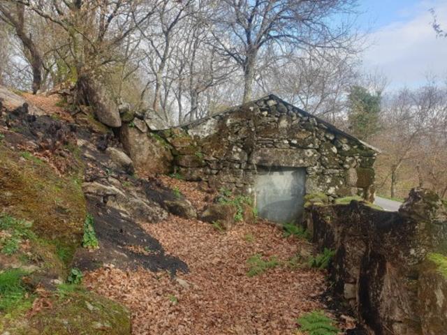 Propriedade na Aldeia de Asnela Oportunidade Única para Turismo ou Agricultura