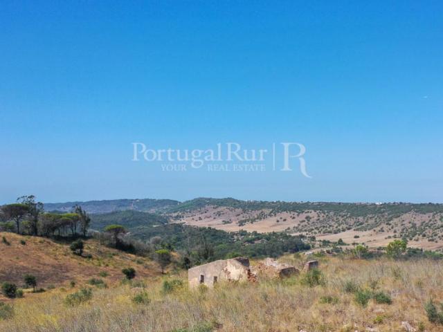 Propriedade na Arrábida com 40 hectares, com projeto aprovad. 243m² Palmela