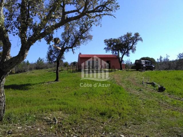 Propriedade no Alentejo
