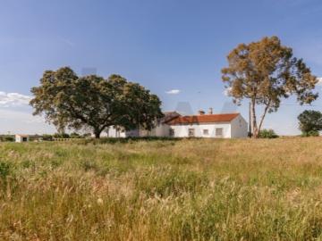Propriedade no Alentejo criada para os aficionados d’arte equestre