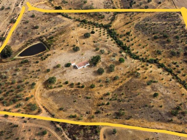 Propriedade no Alentejo em Serpa Monte da Vigia 11072m² Aldeia Nova De São Bento