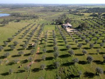 Propriedade privada Centro Equestre