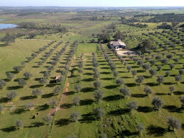 Propriedade privada Centro Equestre