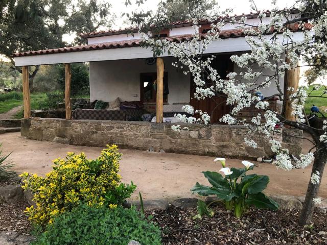Propriedade Ribeirinha 60m² Monsanto e Idanha a Velha