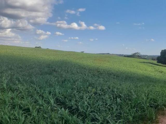 Propriedade riquíssima em águas,ótimo investimento