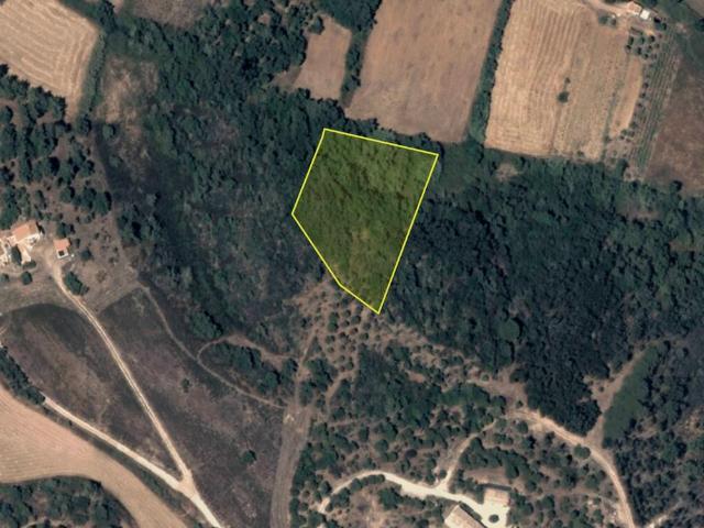 Propriedade Rural