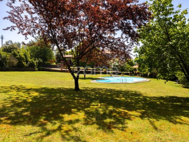 Propriedade Rural Única de 3 Hectares com Piscina e Floresta Privada