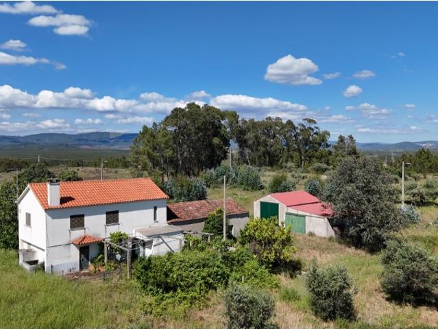 Propriedade rural urbana com oliveiras, anexos agrícolas e 38000m2 de terreno