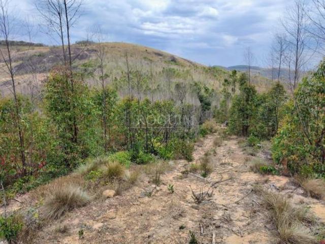 Propriedade Rural à Venda com 28 Hectares, Nascente e Plantação Eucalipto Andrelândia