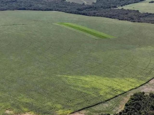 Propriedade rural à venda em Ipameri, Goiás