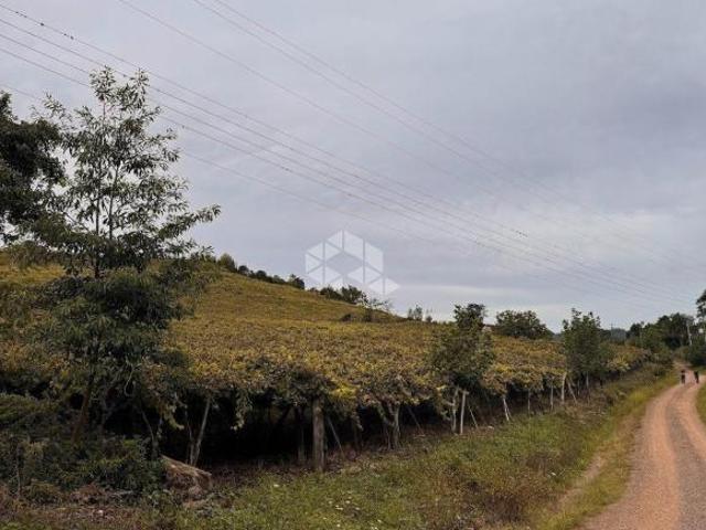 Propriedade Rural com produção de Uvas e uma casa de Mista