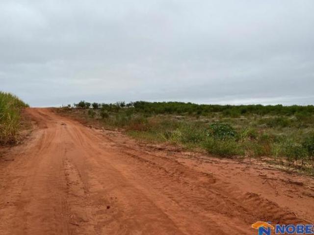 Propriedade rural de 20,56 Alqueires à venda em Indianópolis PR: Planta 17,50 alqueires