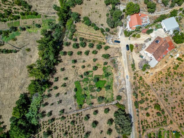 Propriedade Rural de 36800m2 com habitação e produção de vinho e azeite