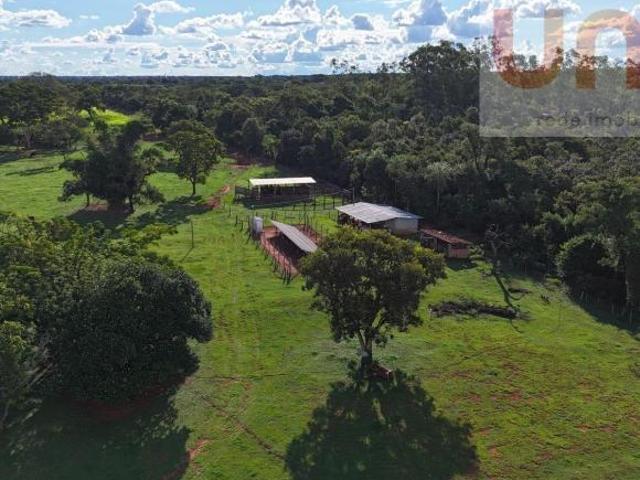 Propriedade Rural | Fazenda em Terenos à venda Mato Grosso do Sul