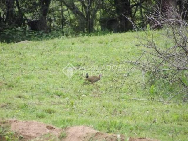 Propriedade Rural no bairro Centro