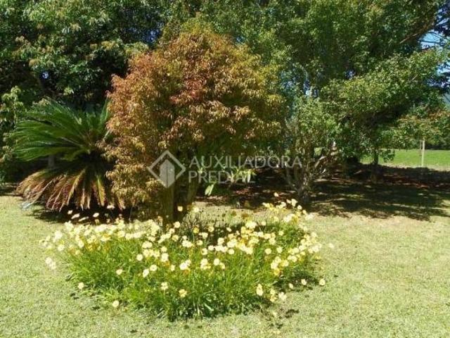Propriedade Rural no bairro Centro