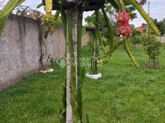 Propriedade Rural no bairro Berto Círio